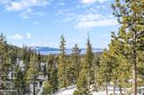 750 Milky Way Court #F
