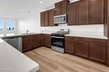 3136 Orrizonte Terrace