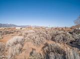 1356 Stephanie Way