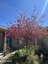1371 White Bluffs Circle