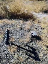 11050 Stampede Trail
