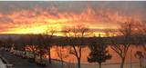 3012 Eastshore Place