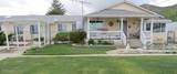 23 Upper Colony Road