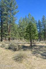 3568 Knob Pt Trail #102