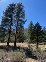 3568 Knob Pt Trail #102