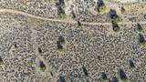1374 Hunters Point Drive