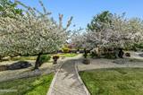 3670 Spirit Bluff Court