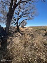 40.23 Acres Workman Road