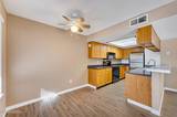 536 Nichols Boulevard