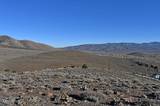 3945 Sandstone Drive
