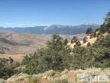 20 Toll Road #2