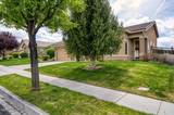 4175 Matter Drive