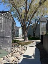 4608 Neil Road #215
