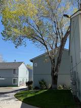 4608 Neil Road #215