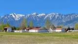 2801 Tamara Court