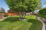 7835 Tiburon Court