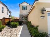 3038 Asini Court