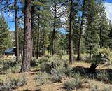 274 Redding Way #235