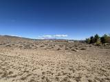 1210 Cooney Drive