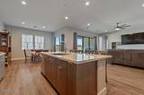 7442 Calypso Drive