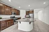 3262 Rimini Drive