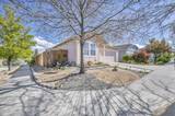 7695 Bichon Street
