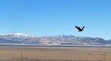 7 Paiute Trail Road