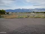 1482 Wild Iris Court #6