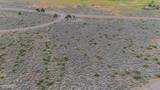 301 Adams Ranch Road