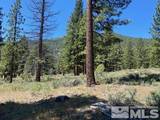 3584 Knob Point Trail