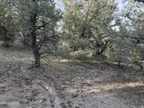 21695 Dortort Drive