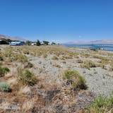 00 Golden Willow & Cottonwood