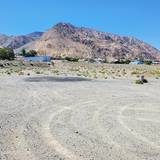 00 Golden Willow & Cottonwood