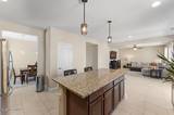 1825 Cholula Drive