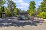 1235 Springer Court
