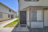 4001 Pheasant Drive