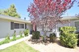 1014 W Winnie Lane