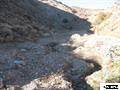 1205 Appian Way #46