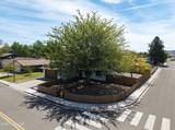 913 Glen Molly Drive