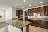 2444 Strozzi Court