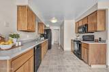 19 Condor Circle