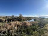 40 Acres on Triple E Lane