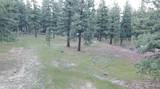 4300 Meadow Wood Road