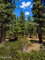 406 Rose Summit Trail #348