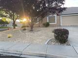 10695 Vista Bonita Lane