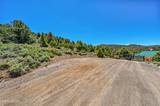 21905 Panhandle Road