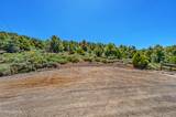 21905 Panhandle Road