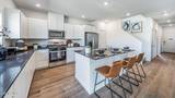 491 Radiant Drive