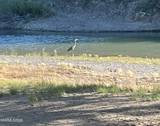22395 Chimney Creek Road #13