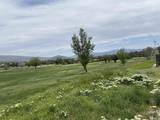 1552 Robb Drive